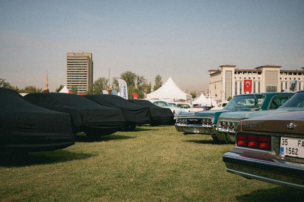 Vivez l'esprit tropical avec nos chemises hawaïennes tendances !